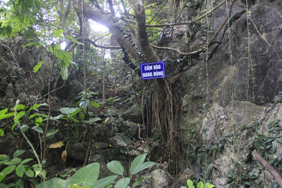 Khám phá hang động tuyệt đẹp ẩn sâu hàng chục năm giữa rừng Quảng Trị - 13 Khám phá hang động tuyệt đẹp ẩn sâu hàng chục năm giữa rừng Quảng Trị - 13
