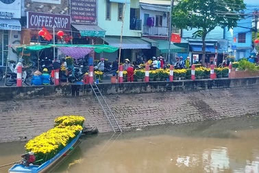 Hoa kiểng Cần Thơ vừa đủ bán, không dư, không phải chặt bỏ