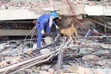 Hơn 3.000 người chết do động đất ở Myanmar