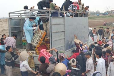 Bắt khẩn cấp 9 đối tượng cướp gà tiêu hủy 