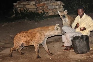 Phát hiện xương động vật, xương người trong hang động