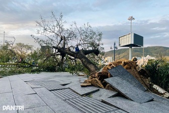 Kalmaegi càn quét miền Trung: 8 người chết, hàng nghìn nhà sập