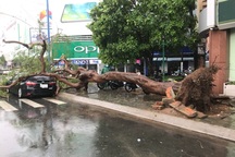 Một người tử vong trong trận giông lốc ở Cần Thơ