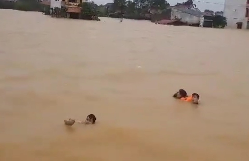 Cứu 4 người bị lật thuyền, chới với giữa dòng lũ - 1 Cứu 4 người bị lật thuyền, chới với giữa dòng lũ - 1