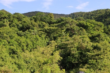 Các nước Tiểu vùng sông Mê Công chung tay kiểm soát ô nhiễm khói mù