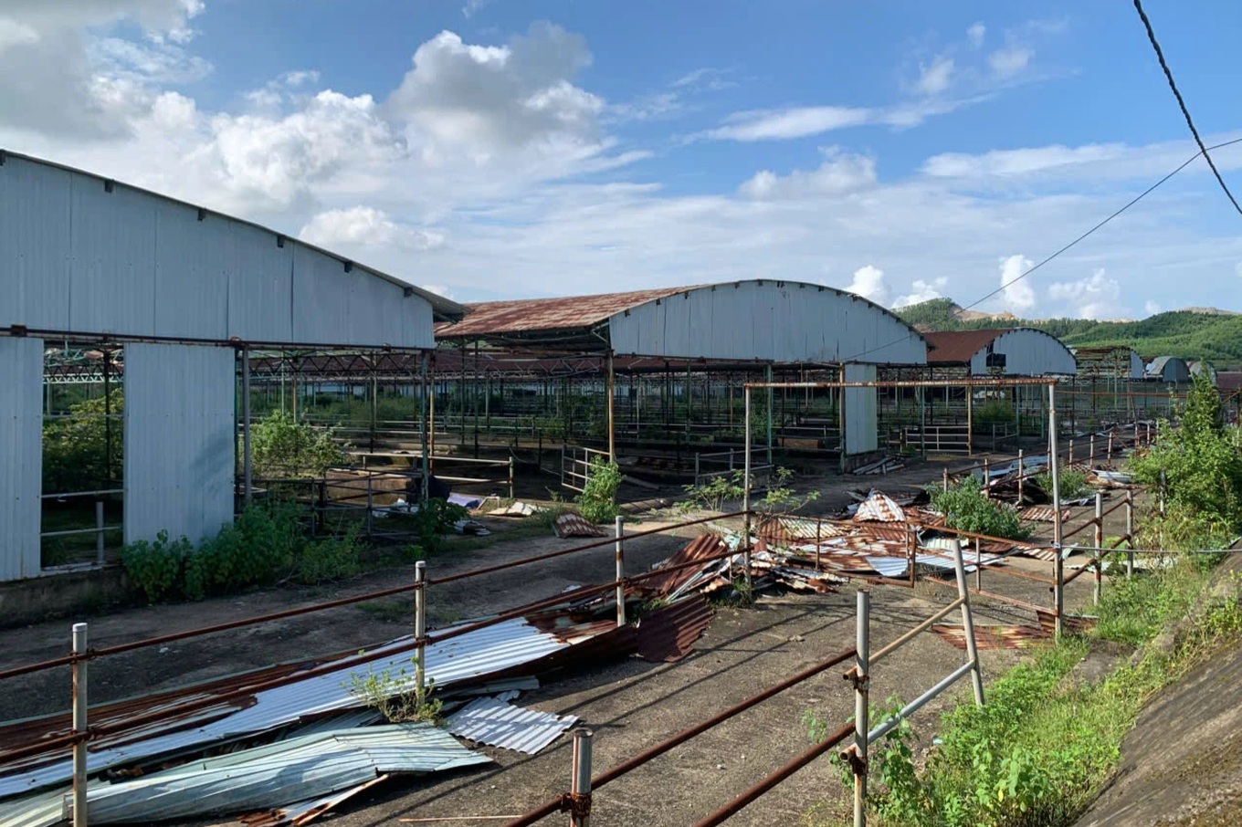 The value of the 4.5 trillion VND cattle farm project assets has been ...