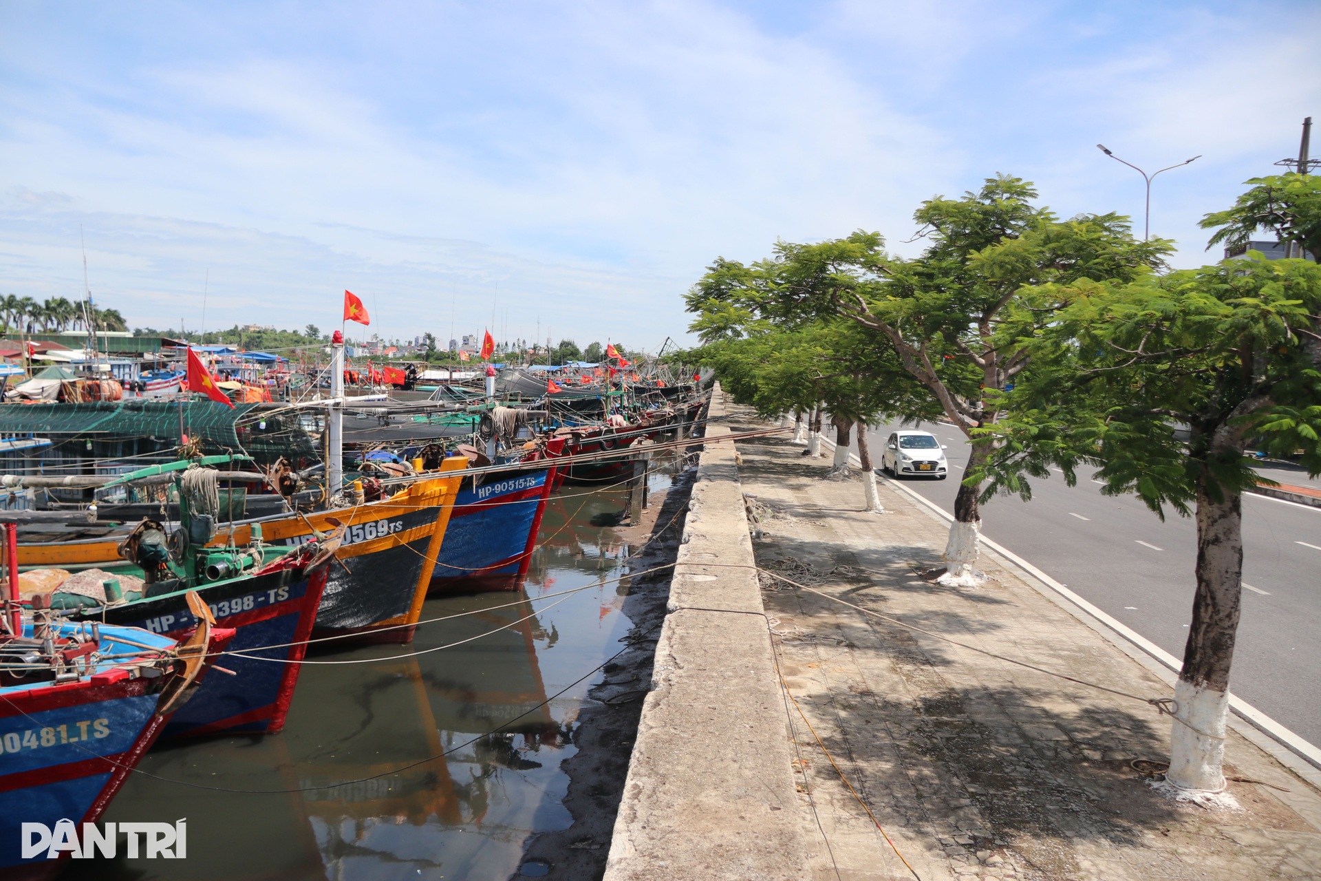 Ngư dân đưa tàu vào nơi tránh trú, theo dõi bão Ragasa qua điện thoại - 9 Ngư dân đưa tàu vào nơi tránh trú, theo dõi bão Ragasa qua điện thoại - 9