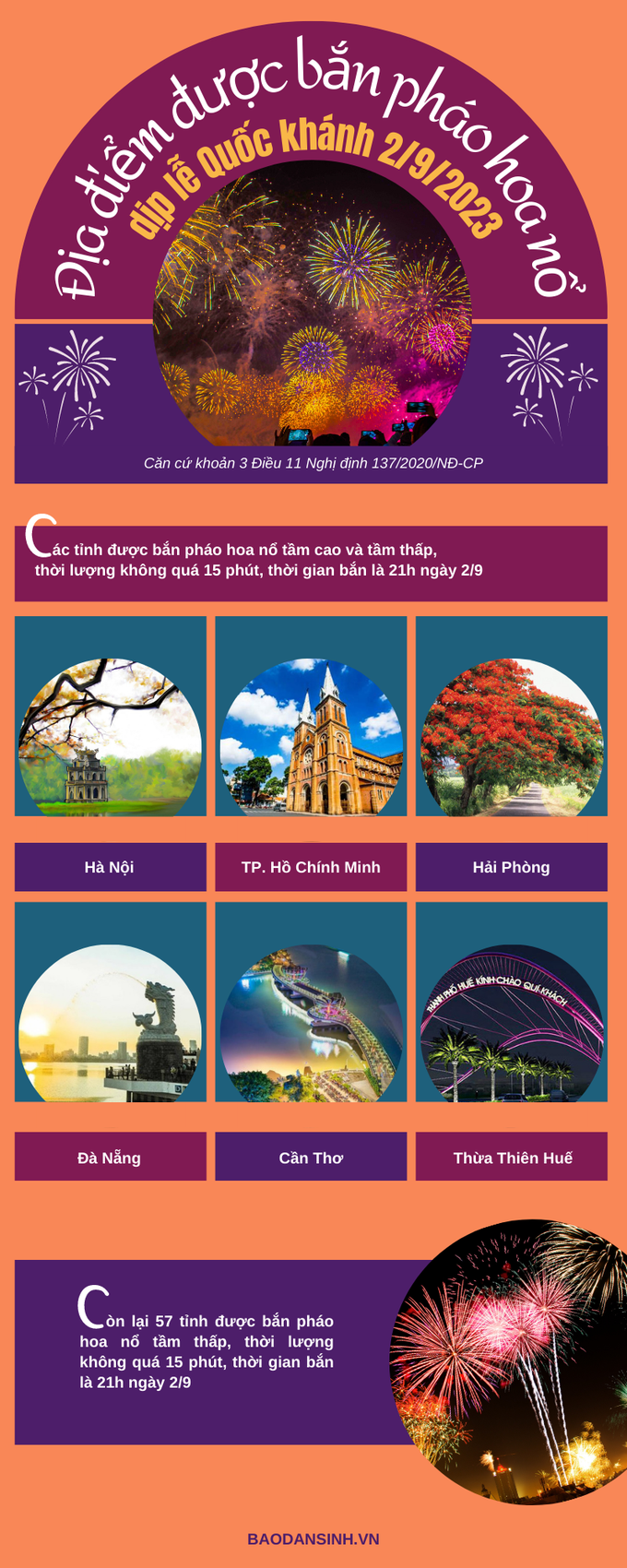 infographic 9