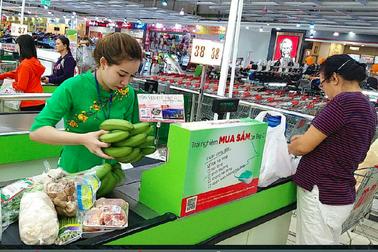 Hơn 10.000 tấn chuối già hương chờ "giải cứu"