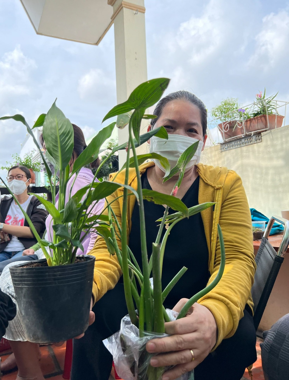 Chợ phiên có hàng nghìn cây giống giá 0 đồng trên nóc nhà 20m2 - 11 Chợ phiên có hàng nghìn cây giống giá 0 đồng trên nóc nhà 20m2 - 11