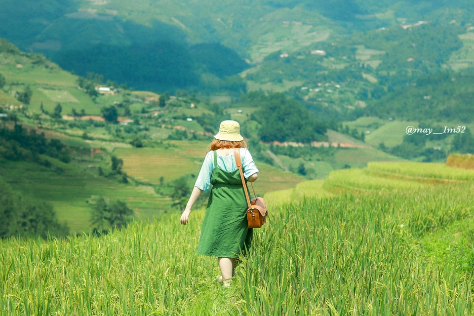 Mù Cang Chải đẹp mê đắm mùa lúa mới! - 4 Mù Cang Chải đẹp mê đắm mùa lúa mới! - 4