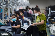 Số người rút BHXH một lần giảm 10%