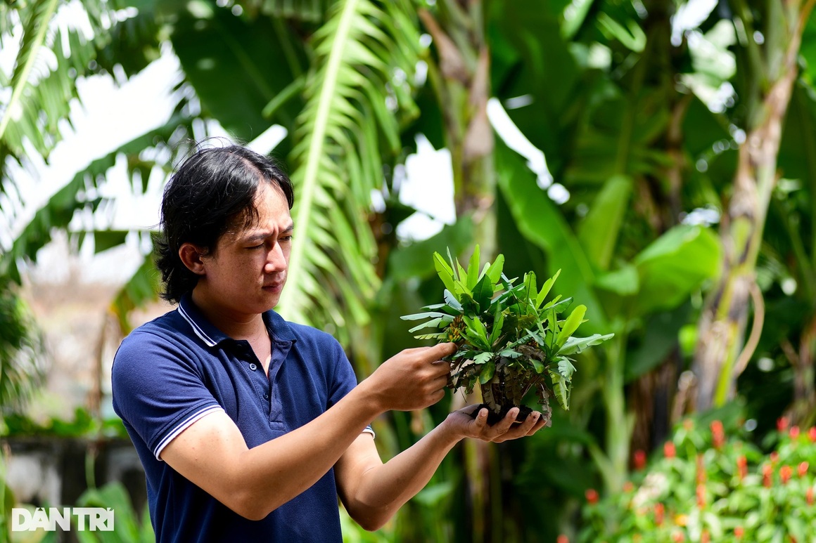 Chàng thợ hồ phù phép đồ vật bỏ đi thành vườn cây trái sum suê siêu nhỏ - 12 Chàng thợ hồ phù phép đồ vật bỏ đi thành vườn cây trái sum suê siêu nhỏ - 12