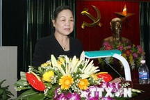 Trưởng Ban Dân vận Trung ương gặp gỡ đại diện Việt kiều Mỹ