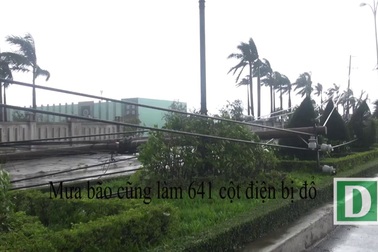 Trắng tay sau bão Con Voi