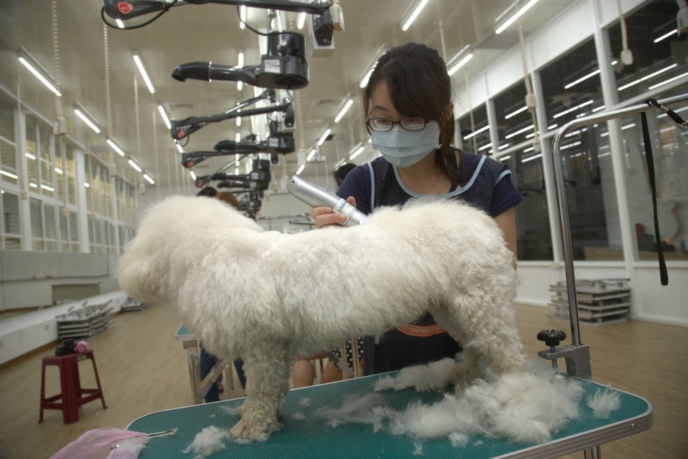 Lựa chọn Đại học Đại Nhân (Tajen University) khi đến Đài Loan du học - 3