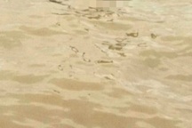 Phát hiện thi thể phụ nữ lõa thể trong thùng nước