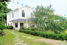 Vỡ mộng "bỏ phố về rừng"