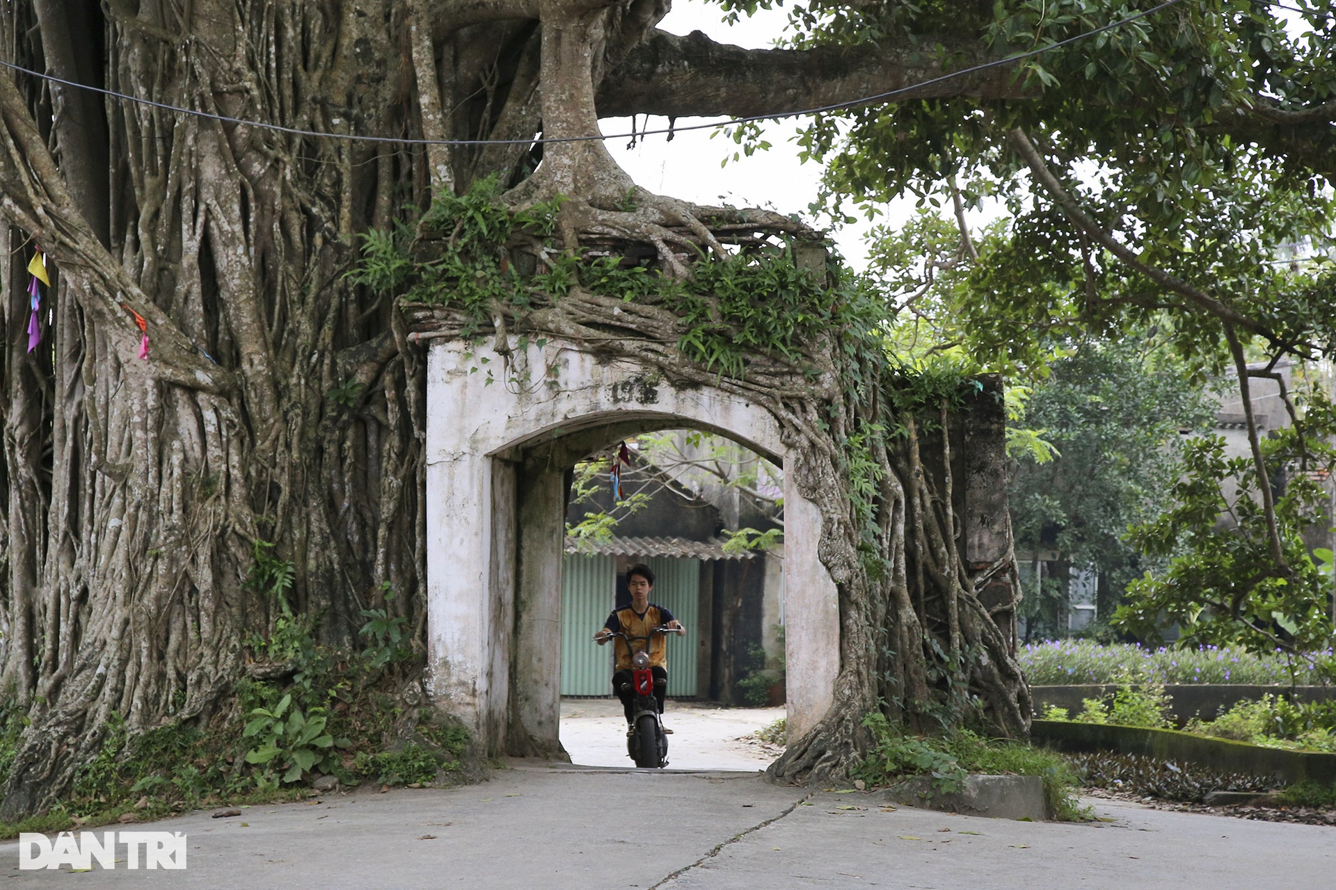 Không gian làng ngoại thành Hà Nội chật chội như trong phố - 13 Không gian làng ngoại thành Hà Nội chật chội như trong phố - 13