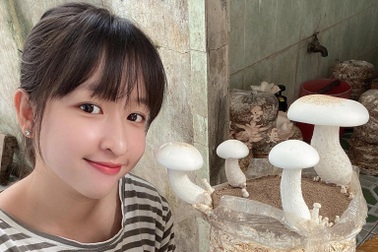 Cô gái Đồng Tháp "bỏ phố về quê" trồng nấm, thu chục triệu đồng mỗi tháng