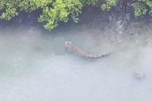 Bé trai bị cá sấu cắn và lôi xuống nước ngay trước mắt người cha