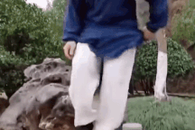 Đệ nhất khinh công phái Võ Đang tự biến mình thành trò hề