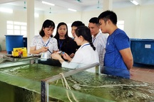 Đào tạo nguồn nhân lực chất lượng cao, cần cơ chế, chính sách đủ mạnh