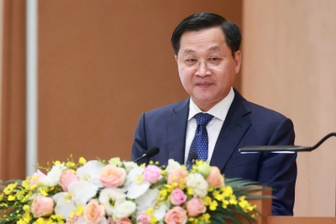 Phó Thủ tướng: Phấn đấu GDP tăng 6 - 6,5% trong năm 2022