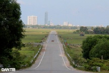 Đường 52 tỷ đồng đầu tư xong "bỏ quên" suốt nhiều năm