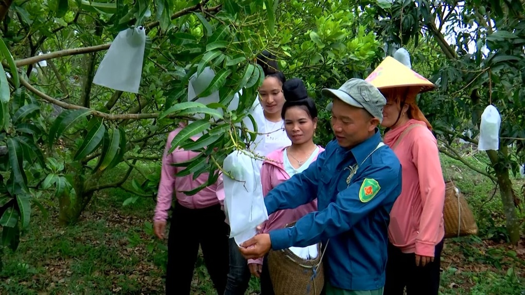 Vận hành chính quyền địa phương 2 cấp gắn xây dựng nông thôn mới ở Sơn La - 1 Vận hành chính quyền địa phương 2 cấp gắn xây dựng nông thôn mới ở Sơn La - 1