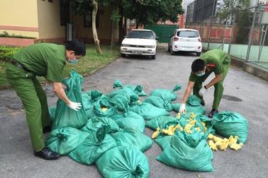 Liên tiếp bắt giữ hơn 14.000 con gia cầm giống nhập lậu Trung Quốc