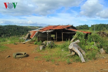 Chuyển nhượng đất “núp bóng” chuyển nhượng dự án