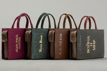 Thú vị với túi hình... cuốn sách