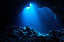 Vi khuẩn "vô hình" mới  có thể… né hệ thống miễn dịch của con người