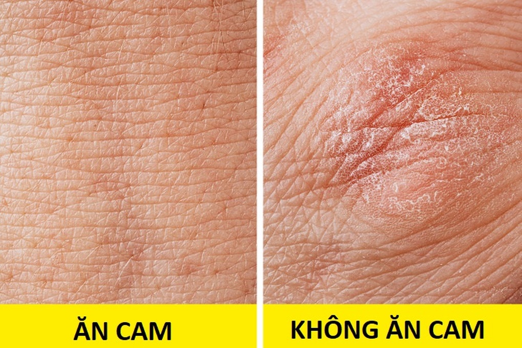 cam_3 cam_3