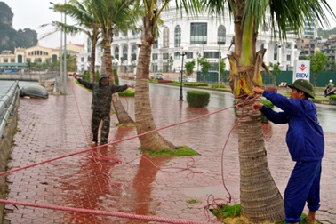 “Gói ghém” tài sản, di tản dân trước giờ bão đổ bộ