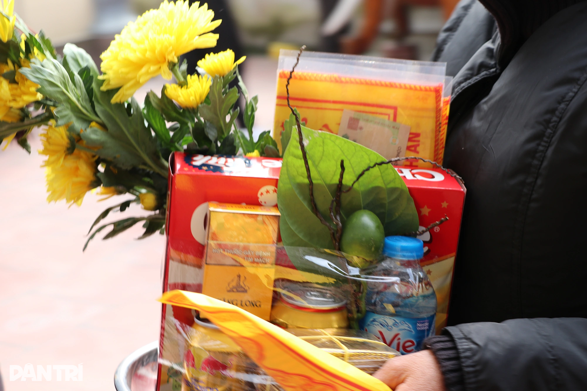 Làm giàu với loại cây bán vài nghìn đồng/lá, ra Tết là thời điểm hốt bạc - 10 Làm giàu với loại cây bán vài nghìn đồng/lá, ra Tết là thời điểm hốt bạc - 10