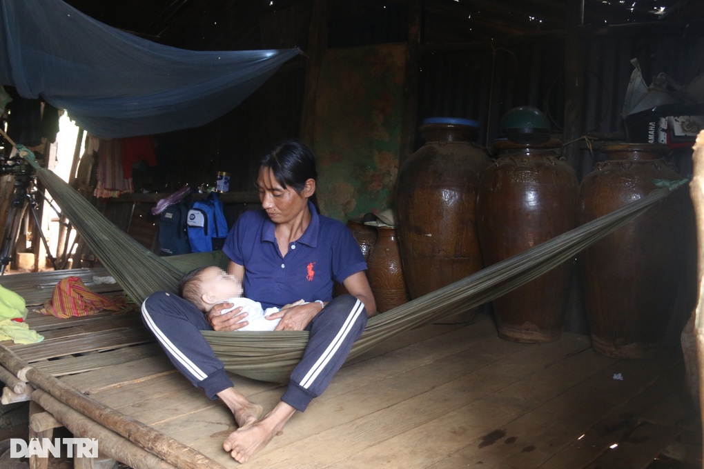 Nghịch lý người nghèo bán nhà, bán bò giống để lấy tiền sinh hoạt - 2 Nghịch lý người nghèo bán nhà, bán bò giống để lấy tiền sinh hoạt - 2