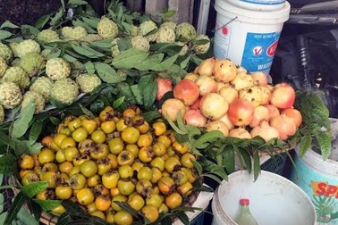 Tám loại hoa quả Trung Quốc nhập về Việt Nam nhiều nhất