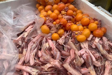 Hà Nội: Cảnh sát bắt hàng tấn lưỡi vịt, trứng non nhập lậu chuẩn bị mang đi tiêu thụ