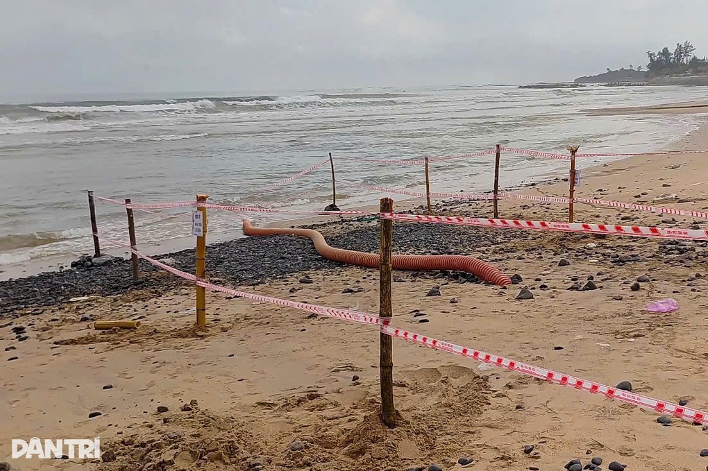 Cáp ngầm xuyên biển đưa điện ra đảo Lý Sơn bị sóng đánh lộ thiên - 1 Cáp ngầm xuyên biển đưa điện ra đảo Lý Sơn bị sóng đánh lộ thiên - 1