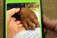 Phía sau bức ảnh bàn tay bé 8 tuổi ở vùng cao khiến triệu người lay động