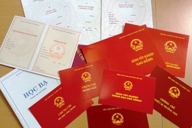 Kỷ luật hàng loạt lãnh đạo dùng bằng giả, để mất rừng