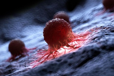 Đáng sợ "vật chất tối" ngay trong cơ thể, liên quan nhiều loại ung thư