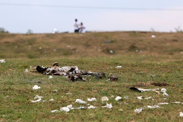 Xả rác tràn ngập bãi tự nhiên ven sông Hồng