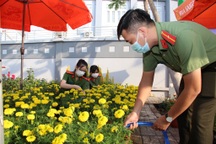 "Áo xanh, sao vàng" bán hoa Tết, mua quà tặng người nghèo đón Xuân