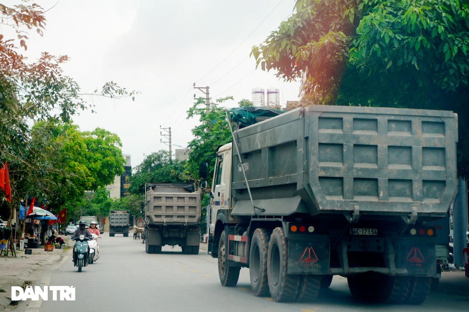 Binh đoàn xe hổ vồ hoành hành trên khắp các tuyến đường ở Quảng Ninh - 6 Binh đoàn xe hổ vồ hoành hành trên khắp các tuyến đường ở Quảng Ninh - 6