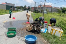 Cảnh sát giao thông giúp người dân thu gom tôm sau tai nạn