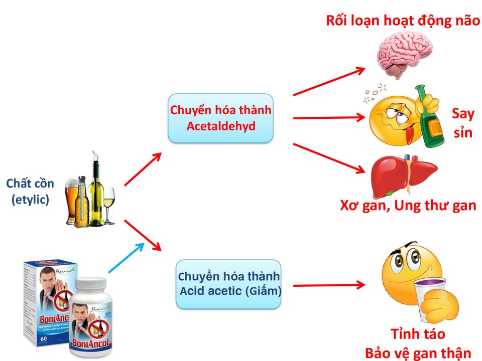 BoniAncol là gì? BoniAncol có tốt không? - 2 BoniAncol là gì? BoniAncol có tốt không? - 2