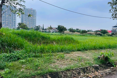 Nhiều dự án "đắp mền" vì... tiền sử dụng đất